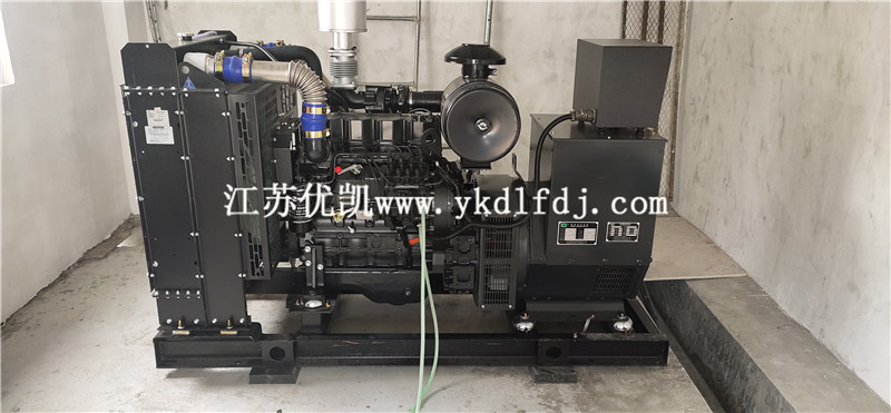 2021年1月26日，100KW上柴發(fā)電機(jī)組交付廣西防城港某養(yǎng)豬場使用