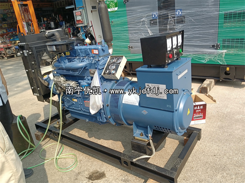 2024年4月1日，客戶到店自提30KW濰坊雷納柴油發(fā)電機(jī)組