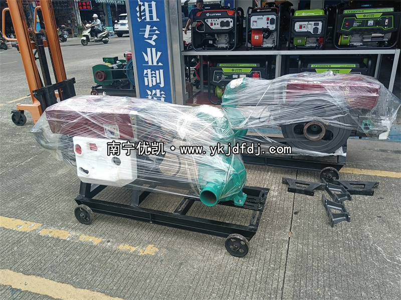 2024年7月30日，國外項目出口兩臺4寸柴油水泵機組及4臺清水泵